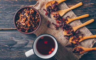 ¿Qué es el rooibos? Beneficios, características y preparación